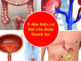 Nhận diện 8 dấu hiệu cơ thể cần được thanh lọc