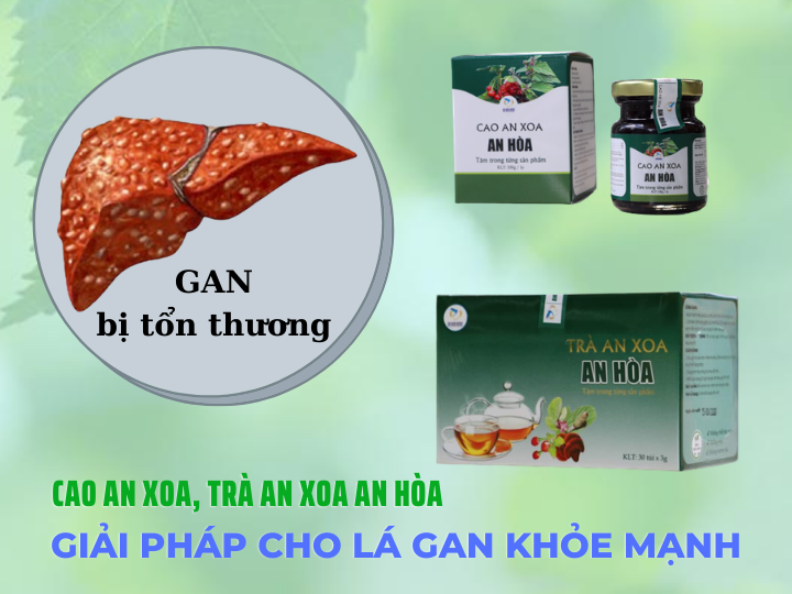 Cao an xoa, trà an xoa An Hòa - Giải pháp phòng ngừa các bệnh về gan