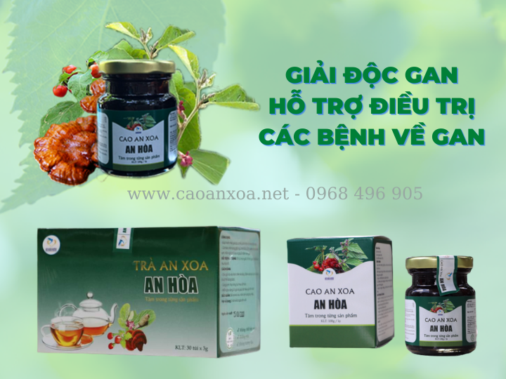 Cao an xoa An Hòa giúp thải độc cơ thể, hỗ trợ điều trị các bệnh về gan