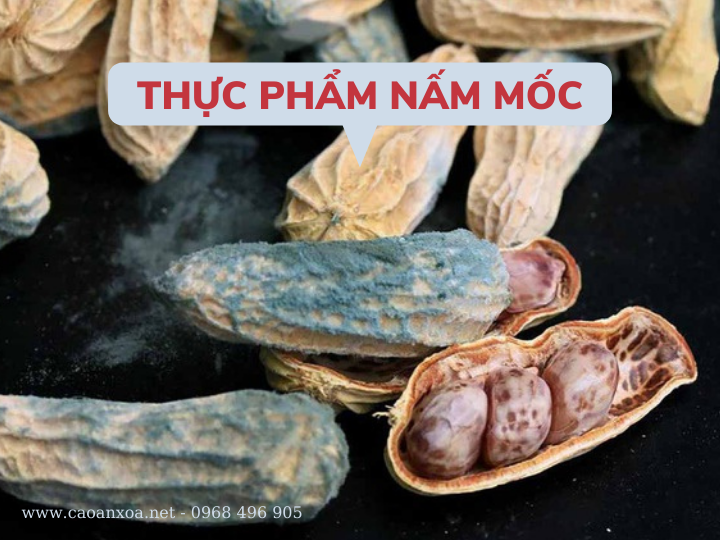 Thực phẩm nấm mốc nguyên nhân gây xơ gan và ung thư gan