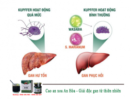 Gặp những dấu hiệu này, cần giải độc gan ngay trước khi quá muộn