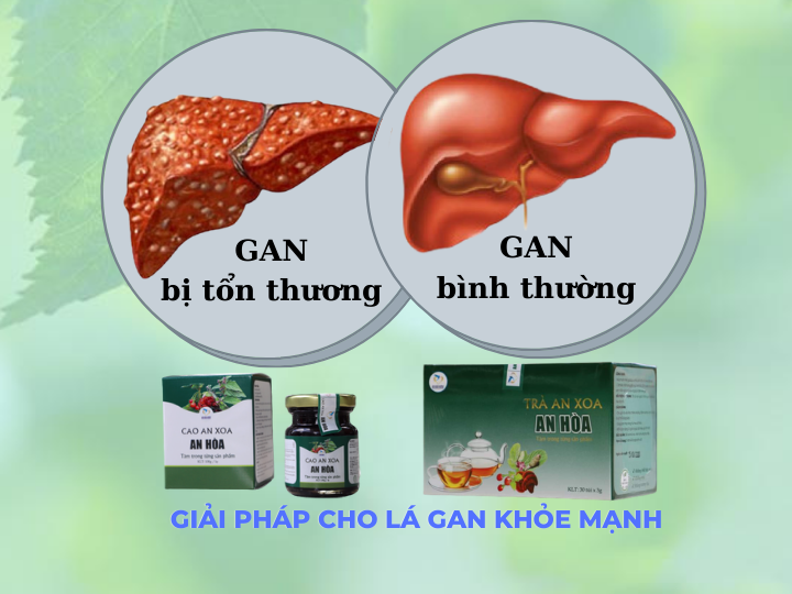 Cao an xoa, trà an xoa an hòa tại thành phồ Hồ Chí Minh