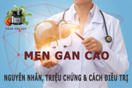 Men gan cao, nguyên nhân, triệu chứng và cách điều trị bằng cây thuốc nam