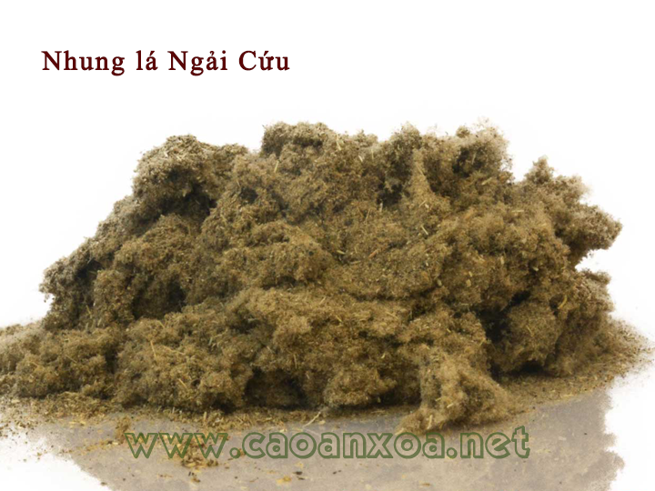 Ngải nhung (phần lông trắng của cây ngải cứu)