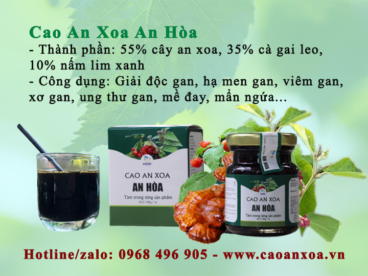 Thành phần của Cao an xoa An Hòa gồm cây an xoa, cà gai leo và nấm lim xanh